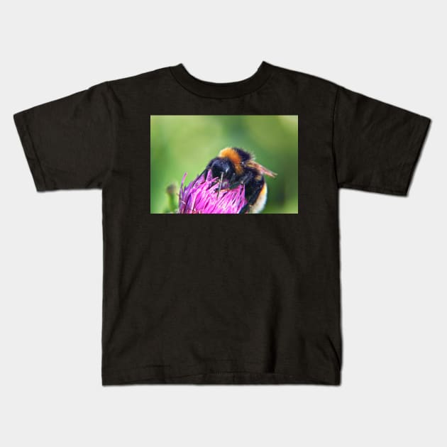 Bee on Thistle Kids T-Shirt by InspiraImage